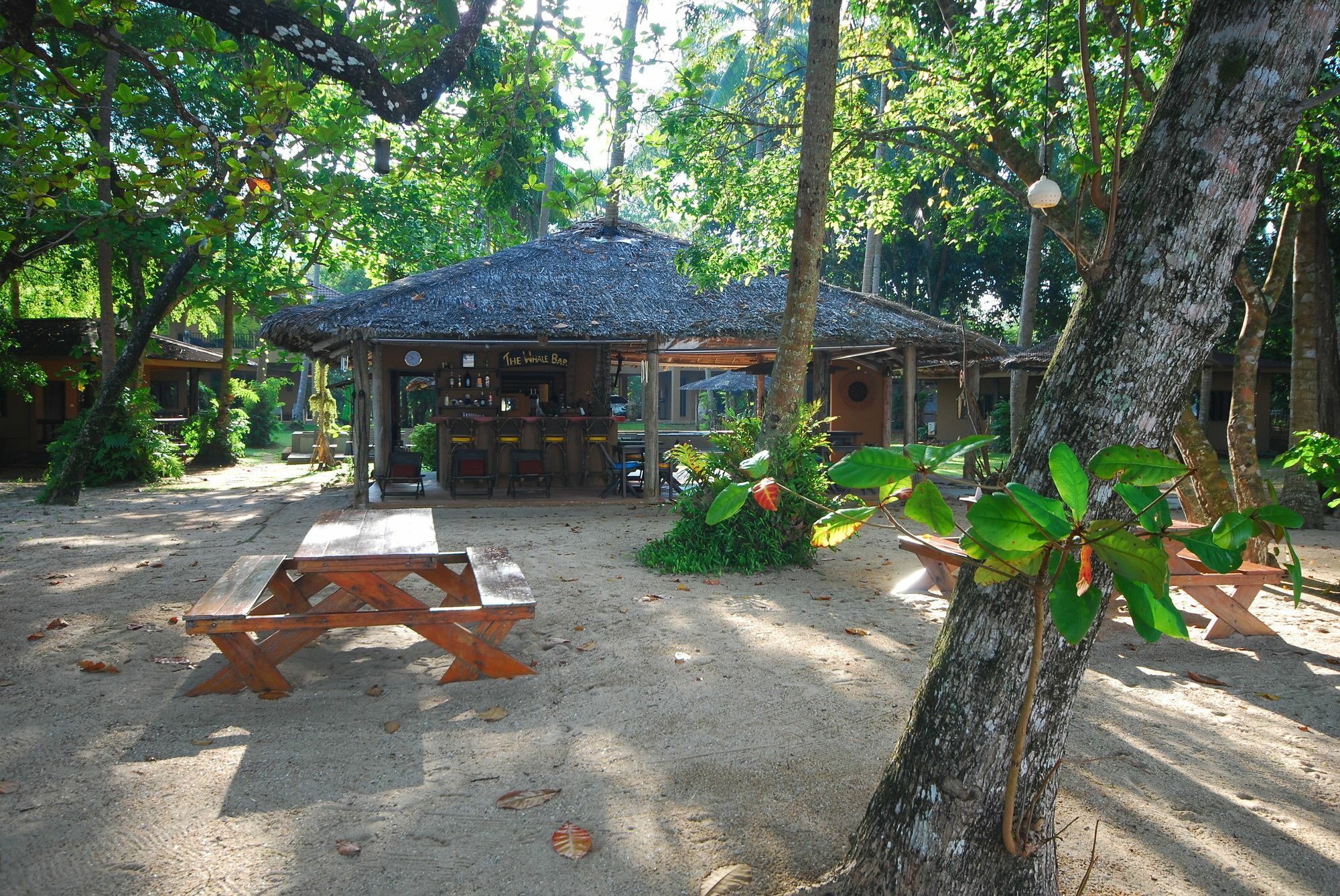 Melina Beach Front Bungalows Tha Lane Bay Exteriér fotografie